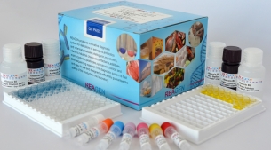 COVID-19 Neutralizing Antibody Rapid Test Kit<m met-id=640 met-table=product met-field=title></m>