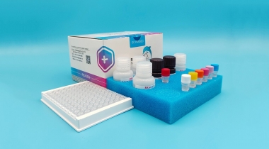 安普黴素 ELISA試劑盒